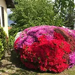 Сasa de vacaciones Le Betulle