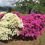 Nyaraló Le Betulle Oggebbio