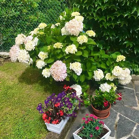 Le Betulle * オッジェッビオ