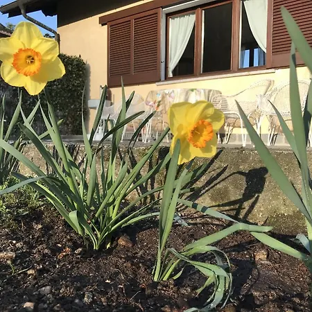 Le Betulle أوجيبيو