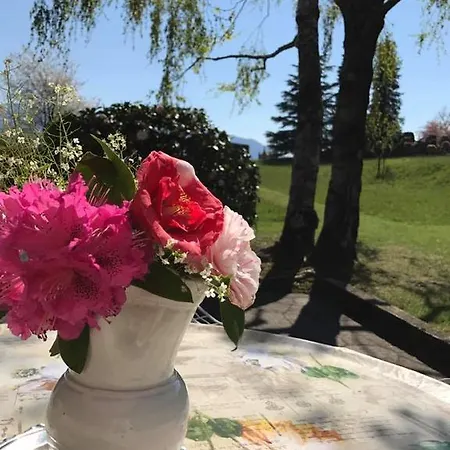 Le Betulle أوجيبيو