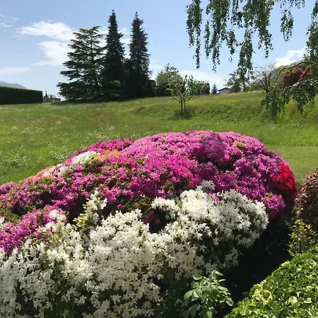 Le Betulle * Oggebbio