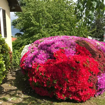 بيت للعطل Le Betulle