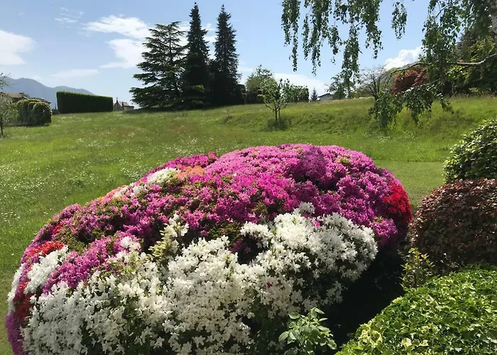 Le Betulle * Oggebbio