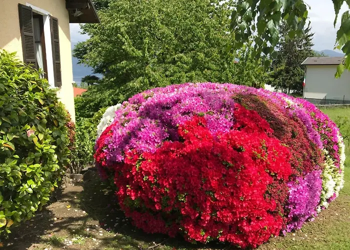 Ferienhaus Le Betulle