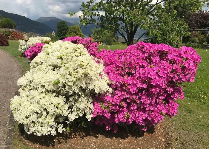 Ferienhaus Le Betulle Oggebbio